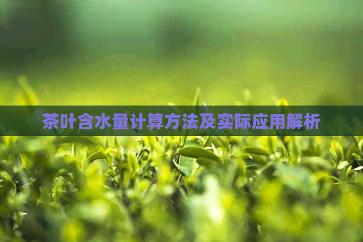 茶叶含水量计算方法及实际应用解析