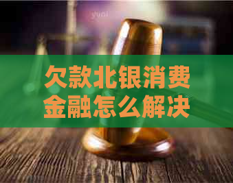 欠款北银消费金融怎么解决