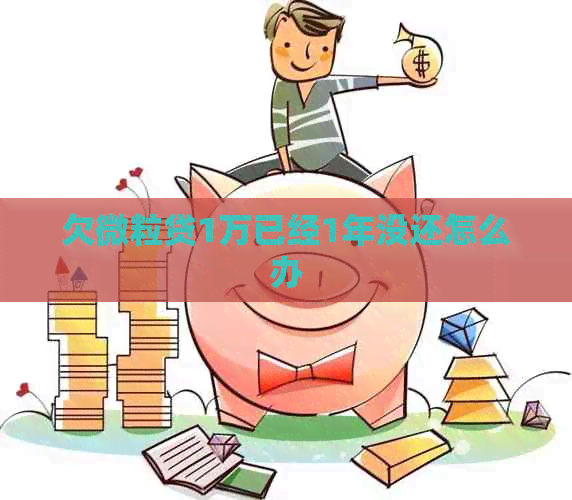 欠微粒贷1万已经1年没还怎么办