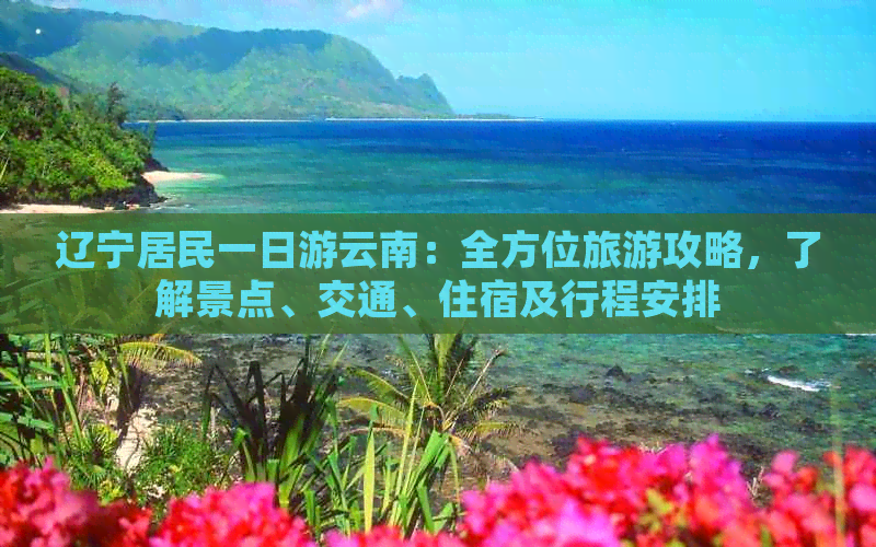 辽宁居民一日游云南：全方位旅游攻略，了解景点、交通、住宿及行程安排