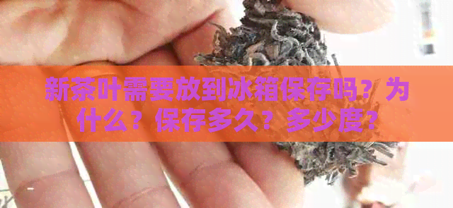 新茶叶需要放到冰箱保存吗？为什么？保存多久？多少度？