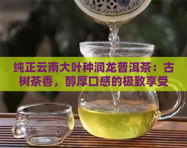 纯正云南大叶种润龙普洱茶：古树茶香，醇厚口感的极致享受