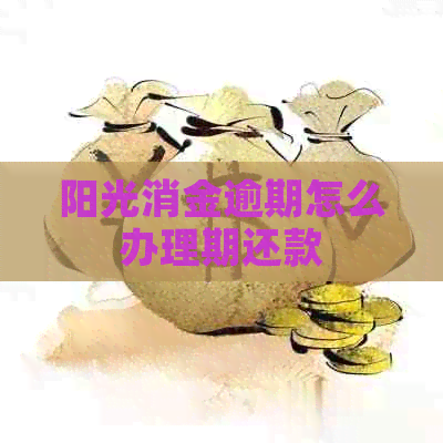 阳光消金逾期怎么办理期还款