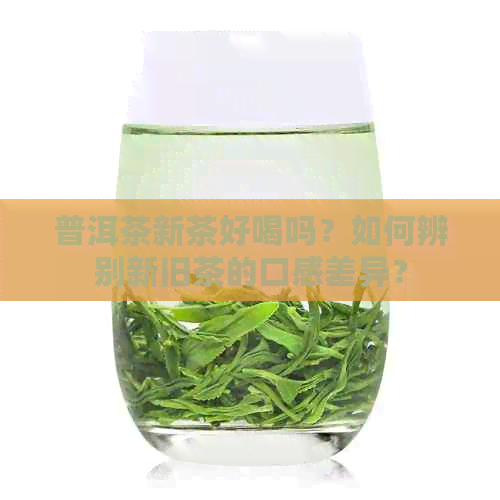 普洱茶新茶好喝吗？如何辨别新旧茶的口感差异？