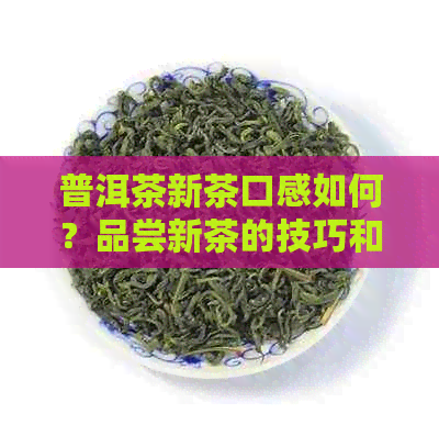 普洱茶新茶口感如何？品尝新茶的技巧和注意事项，让你全面了解新茶品质