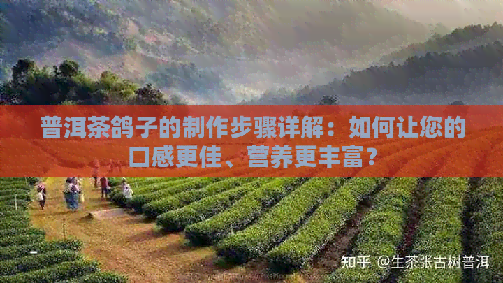 普洱茶鸽子的制作步骤详解：如何让您的口感更佳、营养更丰富？