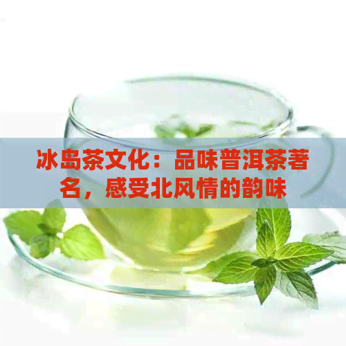 冰岛茶文化：品味普洱茶著名，感受北风情的韵味