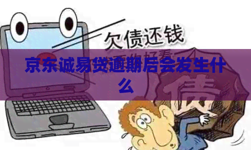 京东诚易贷逾期后会发生什么