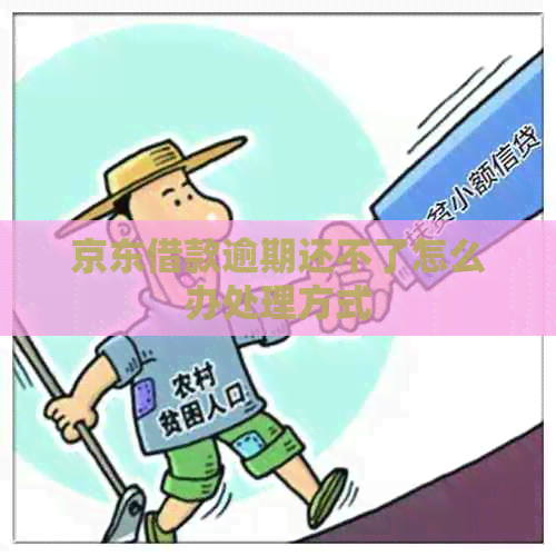 京东借款逾期还不了怎么办处理方式