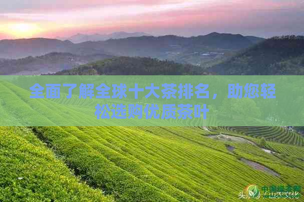 全面了解全球十大茶排名，助您轻松选购优质茶叶