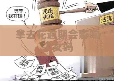 拿去花逾期会影响子女吗