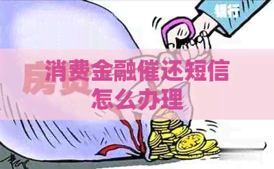 消费金融催还短信怎么办理