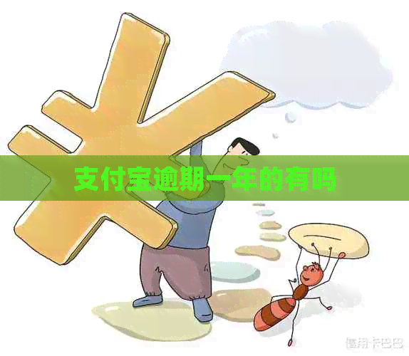 支付宝逾期一年的有吗