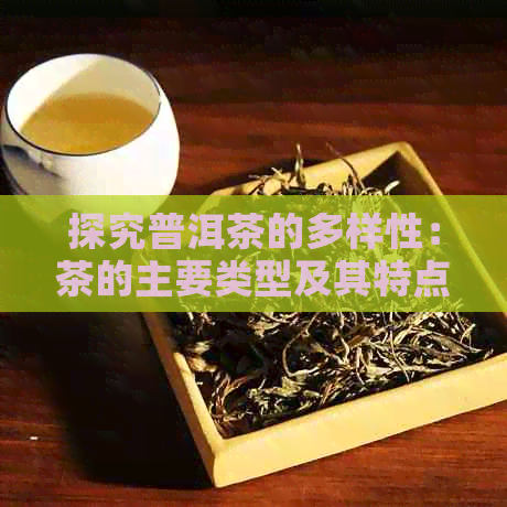 探究普洱茶的多样性：茶的主要类型及其特点