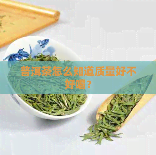 普洱茶怎么知道质量好不好喝？