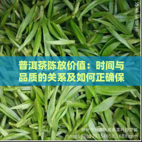 普洱茶陈放价值：时间与品质的关系及如何正确保存普洱茶