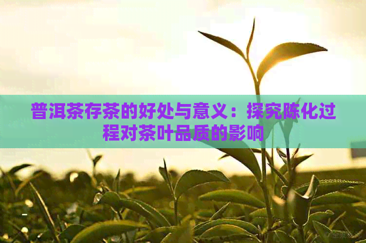 普洱茶存茶的好处与意义：探究陈化过程对茶叶品质的影响