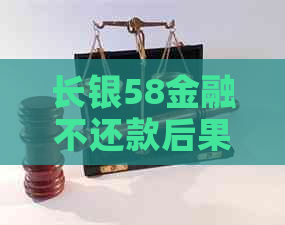 长银58金融不还款后果全面解析：账户被冻结、信用受损等影响及解决方法