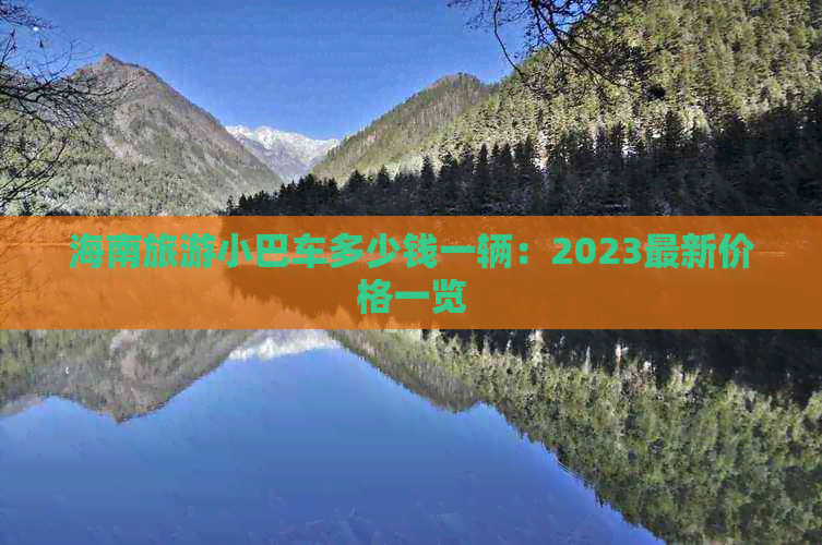 海南旅游小巴车多少钱一辆：2023最新价格一览