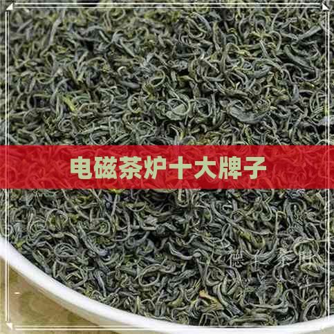 电磁茶炉十大牌子