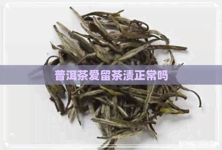 普洱茶爱留茶渍正常吗