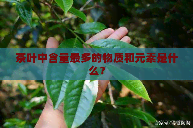 茶叶中含量最多的物质和元素是什么？