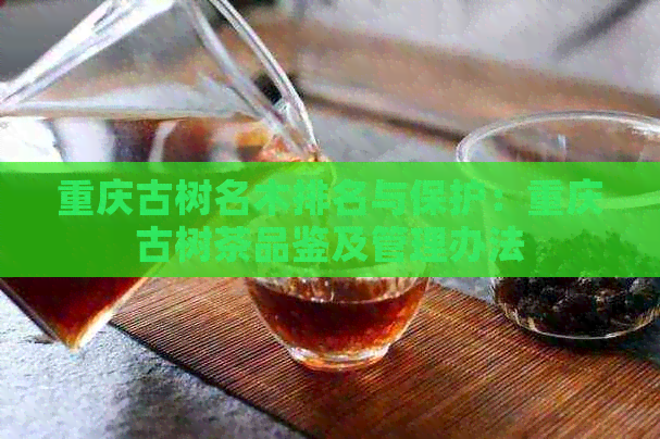 重庆古树名木排名与保护：重庆古树茶品鉴及管理办法