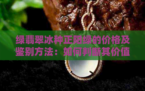 绿翡翠冰种正阳绿的价格及鉴别方法：如何判断其价值？