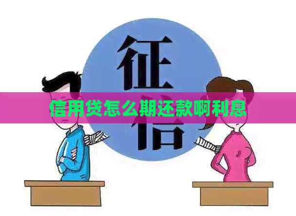 信用贷怎么期还款啊利息