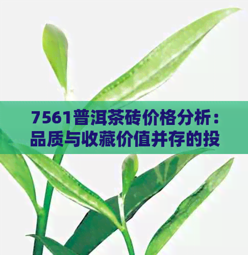 7561普洱茶砖价格分析：品质与收藏价值并存的投资选择