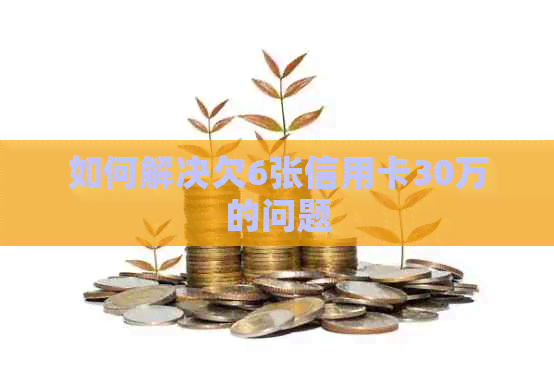 如何解决欠6张信用卡30万的问题