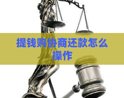 提钱购协商还款怎么操作