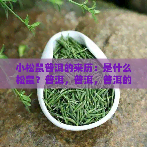 小松鼠普洱的来历：是什么松鼠？普洱，普洱，普洱的妙用。