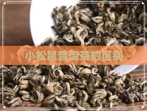 小松鼠普洱茶的区别