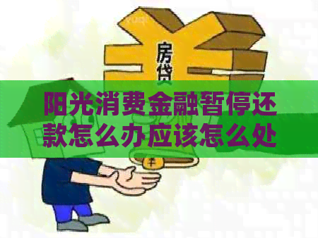 阳光消费金融暂停还款怎么办应该怎么处理