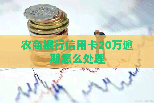 农商银行信用卡20万逾期怎么处理