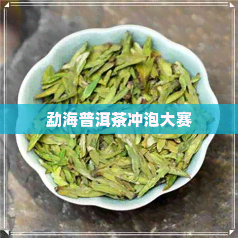 勐海普洱茶冲泡大赛