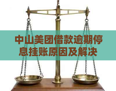 中山美团借款逾期停息挂账原因及解决方法