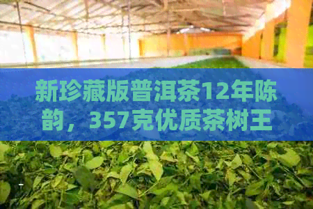 新珍藏版普洱茶12年陈韵，357克优质茶树王，古法手工制作，品味非凡