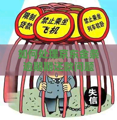 如何处理京东金条逾期期还款问题