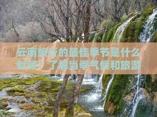 云南旅行的更佳季节是什么时候？了解当季气候和旅游活动，规划您的完美之旅