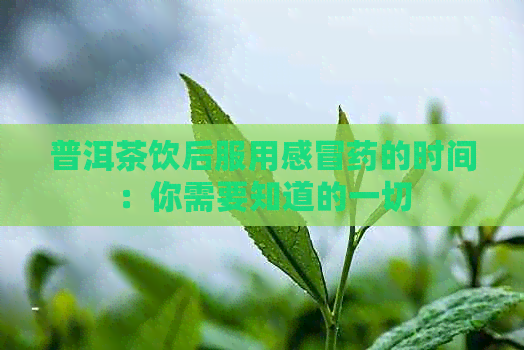 普洱茶饮后服用感冒药的时间：你需要知道的一切