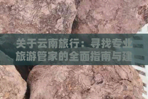 关于云南旅行：寻找专业旅游管家的全面指南与建议