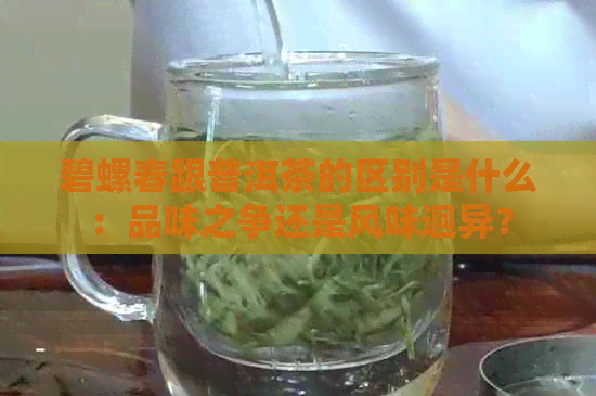 碧螺春跟普洱茶的区别是什么：品味之争还是风味迥异？