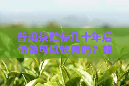 普洱茶贮存几十年后仍然可以饮用吗？如何判断普洱茶是否过期？