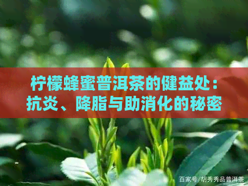 柠檬蜂蜜普洱茶的健益处：抗炎、降脂与助消化的秘密