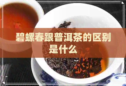 碧螺春跟普洱茶的区别是什么