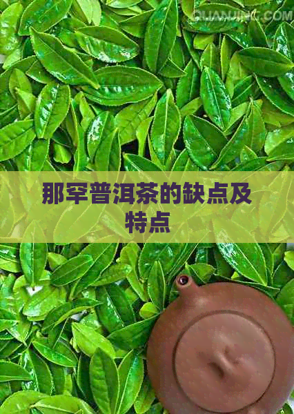 那罕普洱茶的缺点及特点