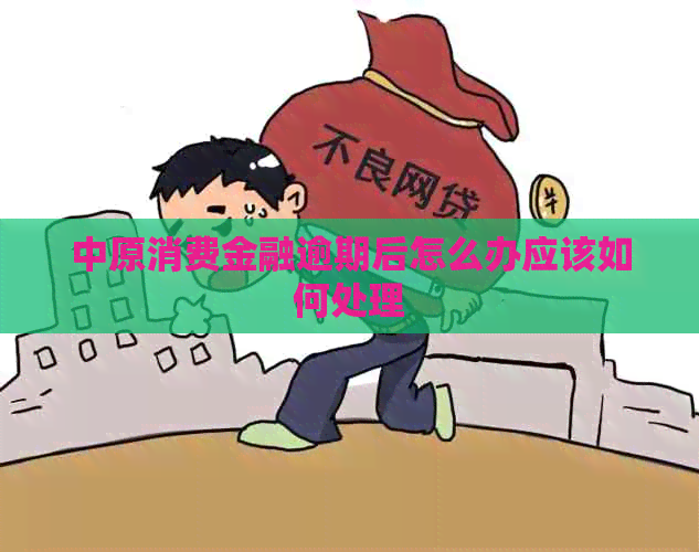 中原消费金融逾期后怎么办应该如何处理