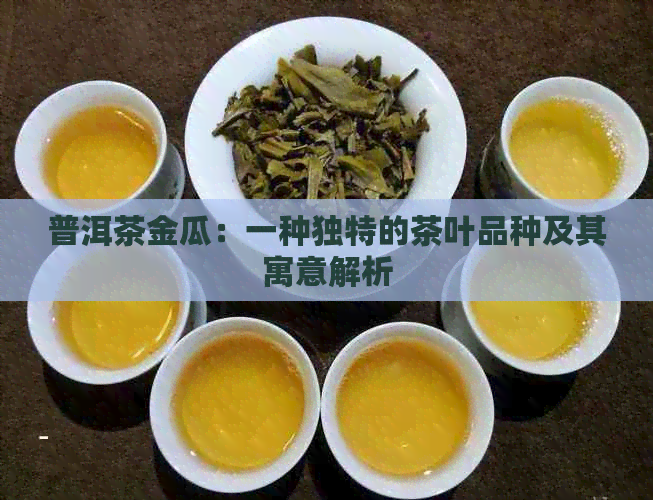 普洱茶金瓜：一种独特的茶叶品种及其寓意解析